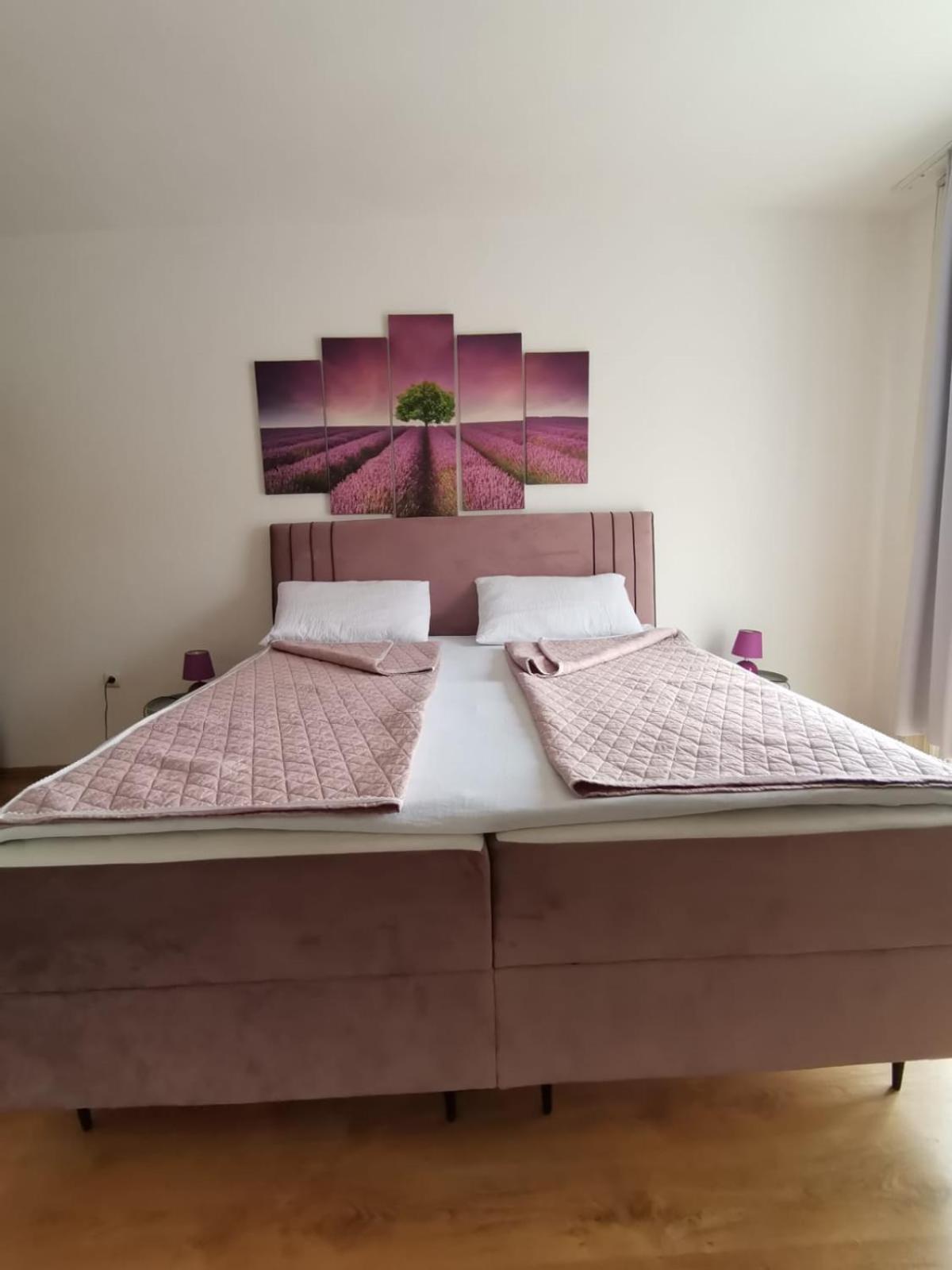 Apartman Franc ザダル エクステリア 写真